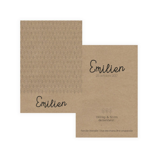 Faire-part 10*15 "Pin'it n°1"