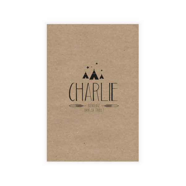 Faire-part de naissance10*15 "Indian Spirit"