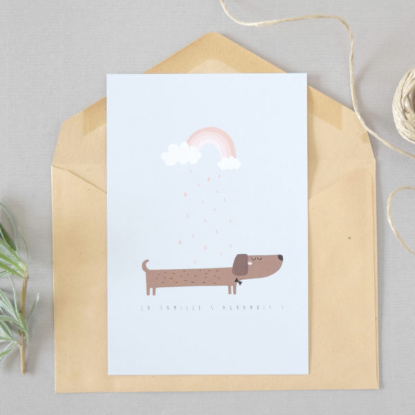 Faire-part naissance Chien saucisse