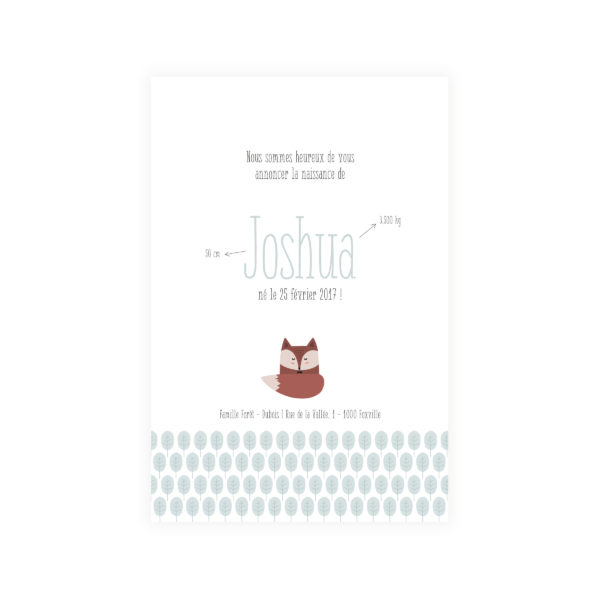Faire-part 10*15 "Renard"