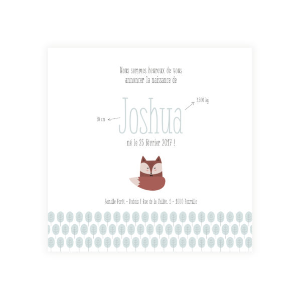 Faire-part 12*12 "Renard"