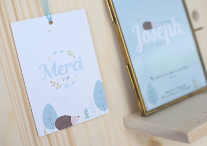 Faire-part de naissance Hérisson