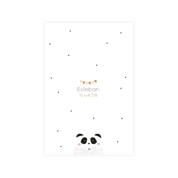 Faire-part 10*15 "Panda"