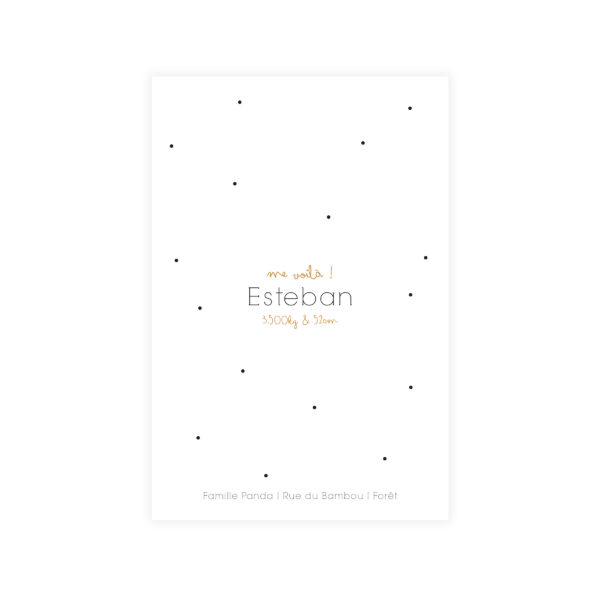 Faire-part 10*15 "Panda"