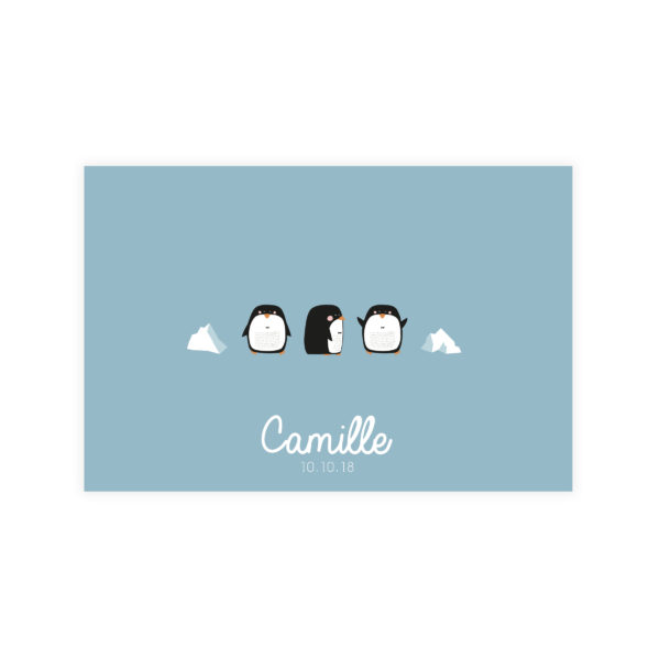 faire-part de naissance pingouin