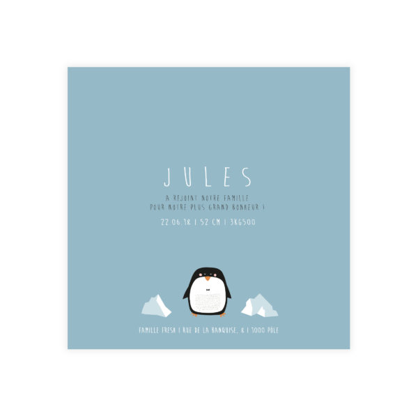 Faire-part 12*12 "Sur la Banquise n°2"