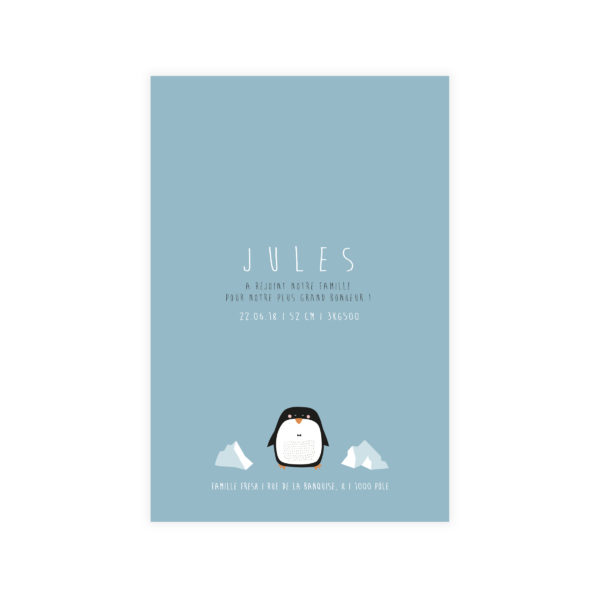 Faire-part 10*15 "Sur la Banquise n°2"