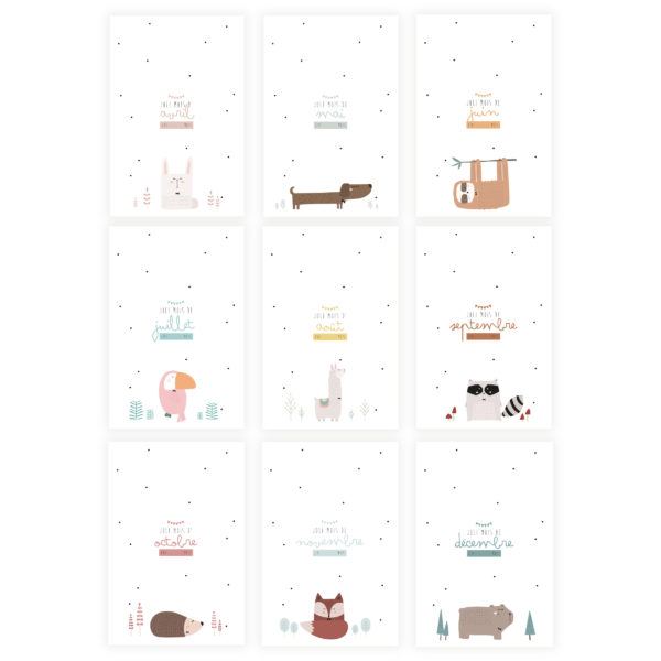 12 Cartes étapes "Mois après mois"