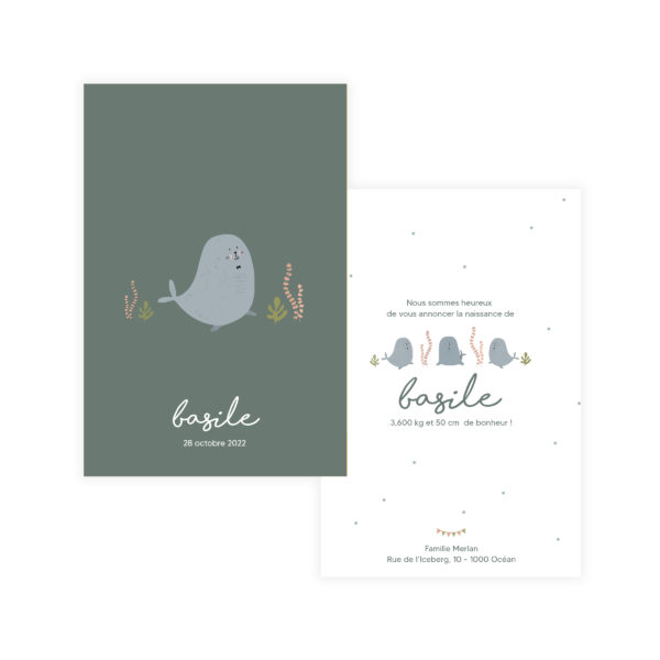 faire-part de naissance phoque