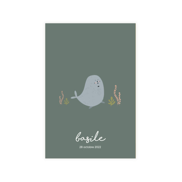 fp phoque R° faire-part de naissance phoque